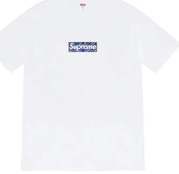 sleeved Logo Short Tee XL T-shirt White Cashew L Black 19FW Bandana S Bogo M Blossom Box 0803